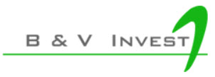B&V invest